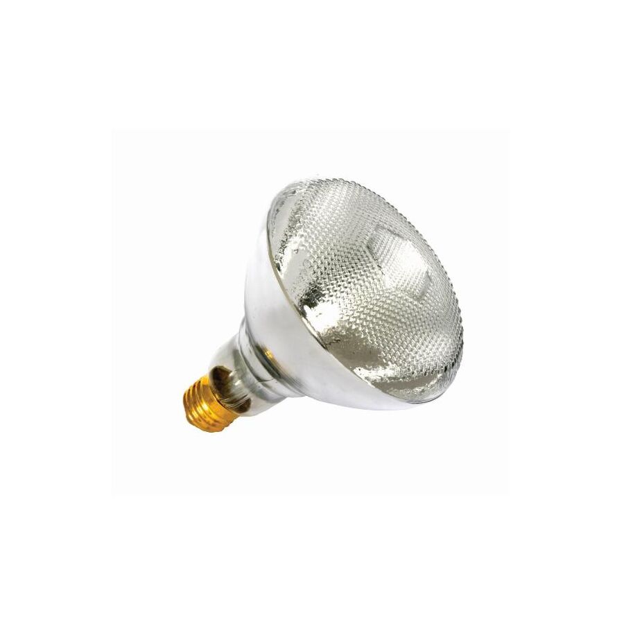 Incandescent Light Bulb