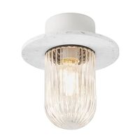 Outdoor Ceiling Lights