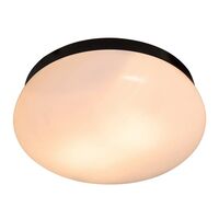 Bathroom Ceiling Lights