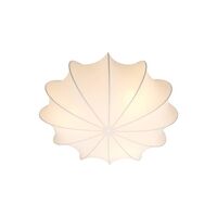 Flush Ceiling Lights