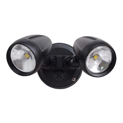 LED Festoon Lights