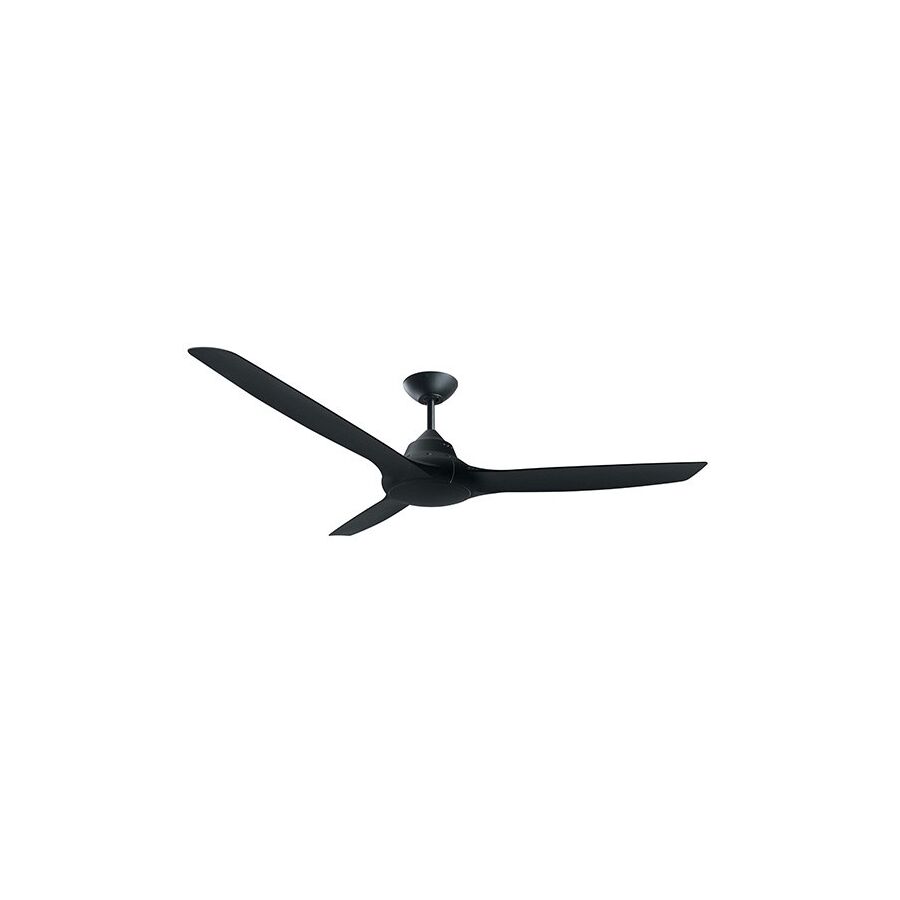 Black Ceiling Fan