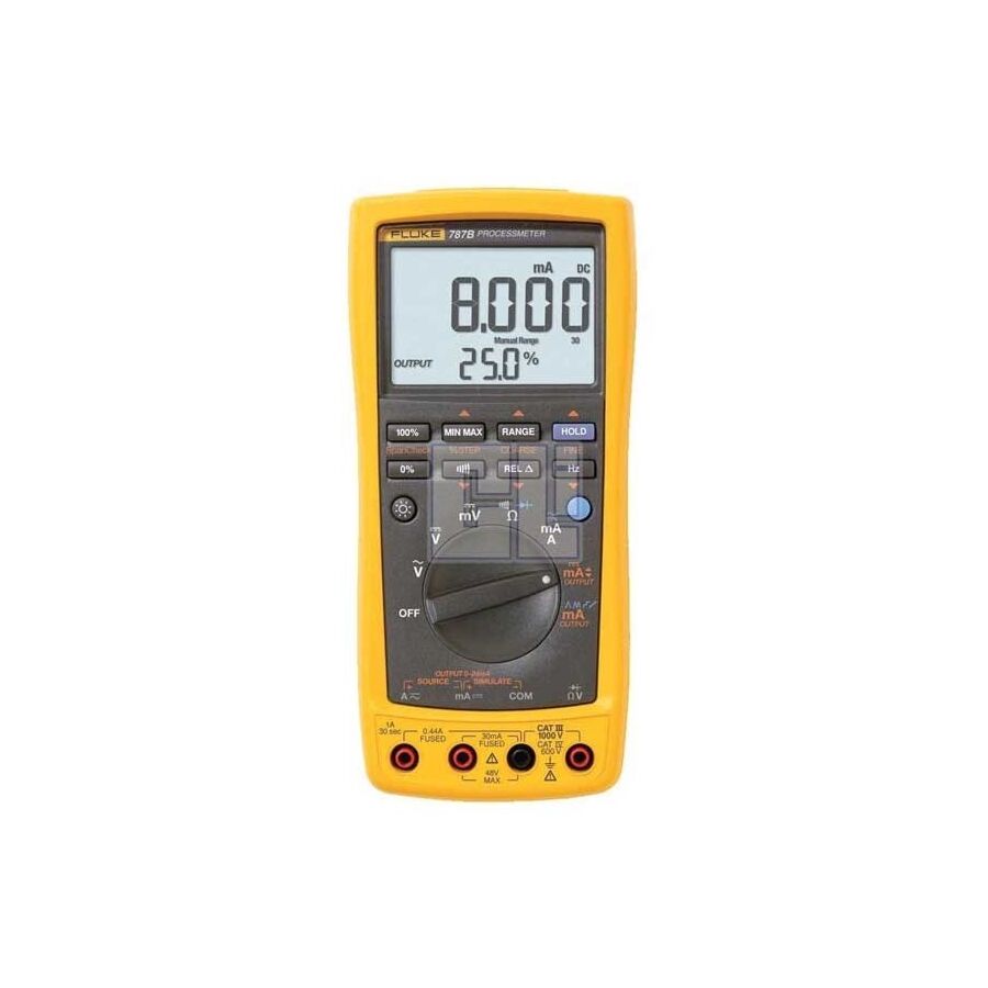 ProcessMeter 1000V