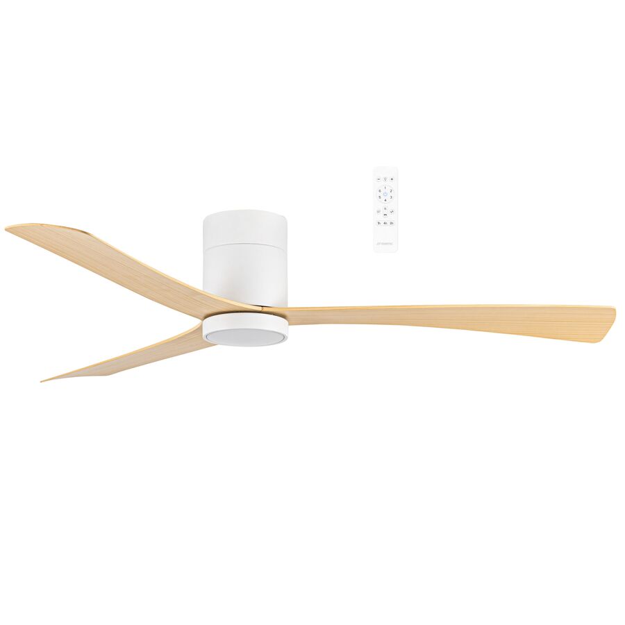 Smart Ceiling Fan