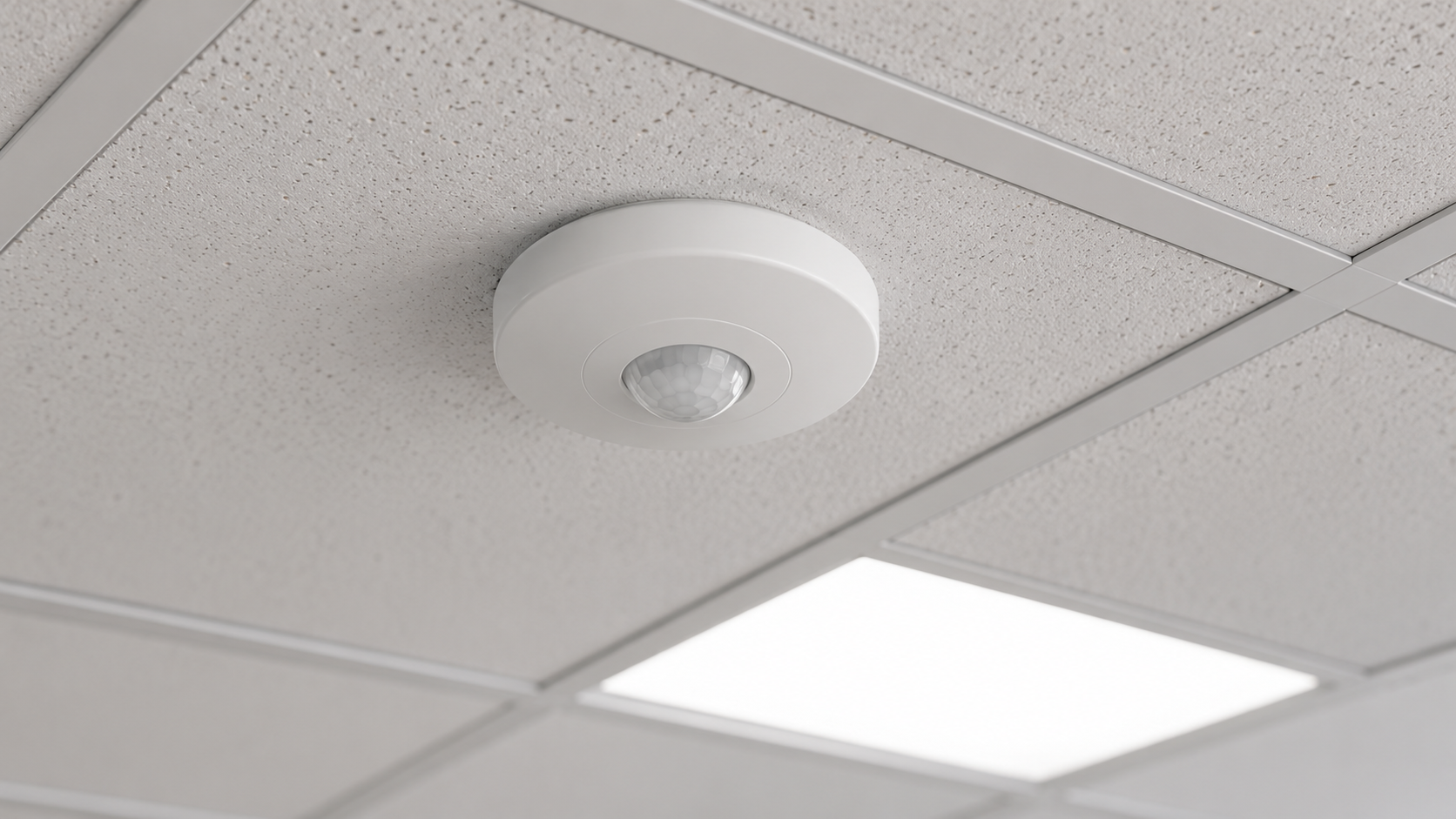 Ceiling-mounted DALI PIR occupancy sensor above an office fitout