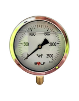 Oil Filled Pressure Gauge 100mm 2500kPa | 3/8 BSP Thread | Stainless Steel | Bottom Entry by Firebox