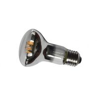VR63 - 6w LED Globe Warm White 6w - VR63LEDWW