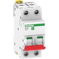 MAX9, Miniature Circuit-Breaker (MCB), 2P, 63A, C Curve, 6000A, 415V, Incomer, RED Toggle