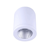 LED Surface Mounted Light White 4K