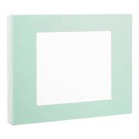 HPM VIVO Coverplate Mint