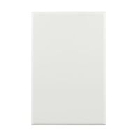 Blank Plate