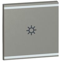 Arteor - MyHOME - Square key cover BUS/SCS - light symbol - 2 modules - magnesium