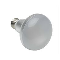 HPM R80 LED 600lm Replacement Centre Light