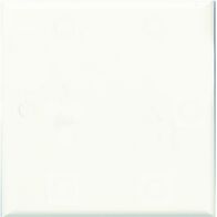 HPM Standard Square Blank Plate White