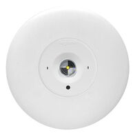 LED Satellite D50 complete with flex & plug - white finish with lithium battery - Axiom