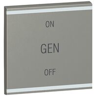 Arteor - MyHOME - Square key cover BUS/SCS - GEN/ON/OFF - 2 modules - magnesium