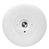 LED Satellite D50 complete with flex & plug - white finish with lithium battery