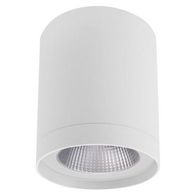 COB® Surface Mount Downlight - L151TAC-AW