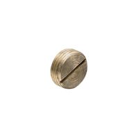 Clipsal - Cable Management, Screwed Conduit, 20mm, Brass Plug