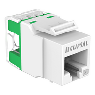 Clipsal Actassi, RJ45 Jack, CAT6 UTP Keystone - White Electric