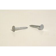 CLOUT 25mm x 2.8mm 500gm-GALV.