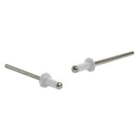 RIVETS, PAINTED AS 4-3 [100] SURFMIST (10)