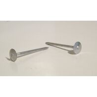 NAIL ROOF 60 x 3.75mm 500gm