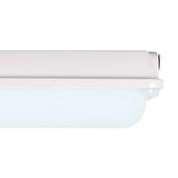 FVP4LED-P-MS-HL