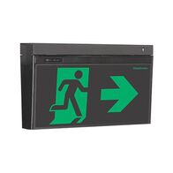 LCFPRO-TH-DS-RAOW