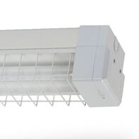 CBS2L4S-LT-WG