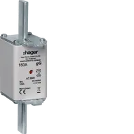 HRC LV fuse NH2C gG AC500V 160A double indicator with live gripping-lugs