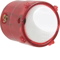 Mechanism 10A intermediate