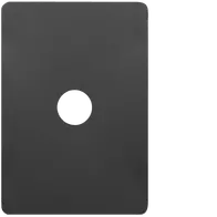 Allure 1 Gang Switch Plate MB