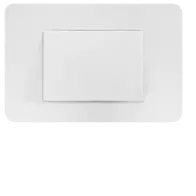 Allure Brush Plate  MW