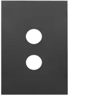 FIN 2 Gang Switch Cover MB