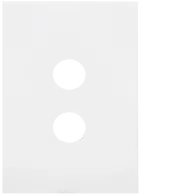 FIN 2 Gang Switch Plate MW