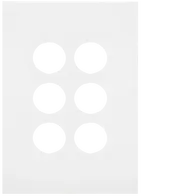 FIN 6 Gang Switch Plate MW