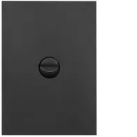 FIN 1 Gang Switch Plate cw mechs MB