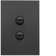 FIN 2 Gang Switch Plate cw mechs MB