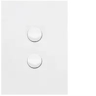 FIN 2 Gang Switch Plate cw mechs