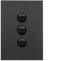 FIN 3 Gang Switch Plate cw mechs MB