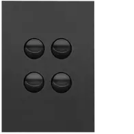 FIN 4 Gang Switch Plate cw mechs MB