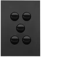 FIN 5 Gang Switch Plate cw mechs MB
