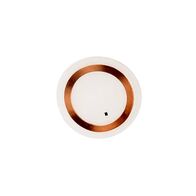Tecom TS1178 Hitag 2 E-Coil