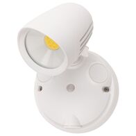 Cicero 1Lt LED Security Flood Light