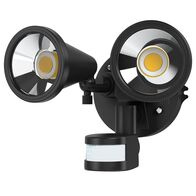 Twin Head Cob Led Floodlight with Sensor