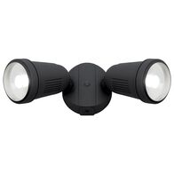 Otto II 2Lt LED Flood Light