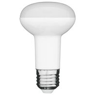 R63 Day Light E27 LED Globe