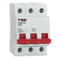 MAIN SWITCH, MINIATURE 3 POLE 100A DIN MOUNT (4)