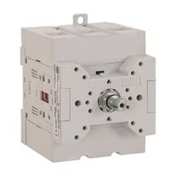 Allen-Bradley 194E Disconnect Switch Body, Front/Door mount 3 Pole 100A